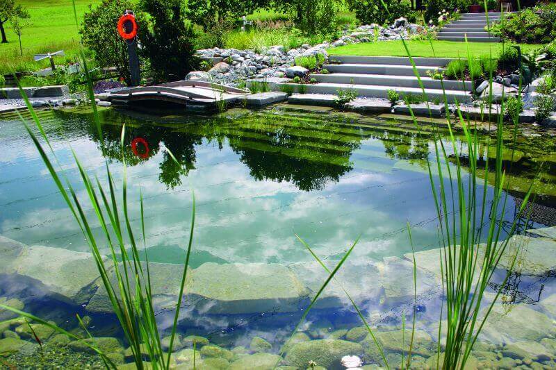 TOTAL HABITAT - Natural Swimming Pools & Ponds - Design & Fabrication  Services - Zoo Exhibits & Visitor Experiences