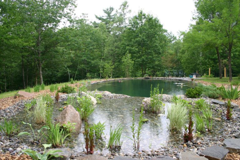 Garden Swim Pond